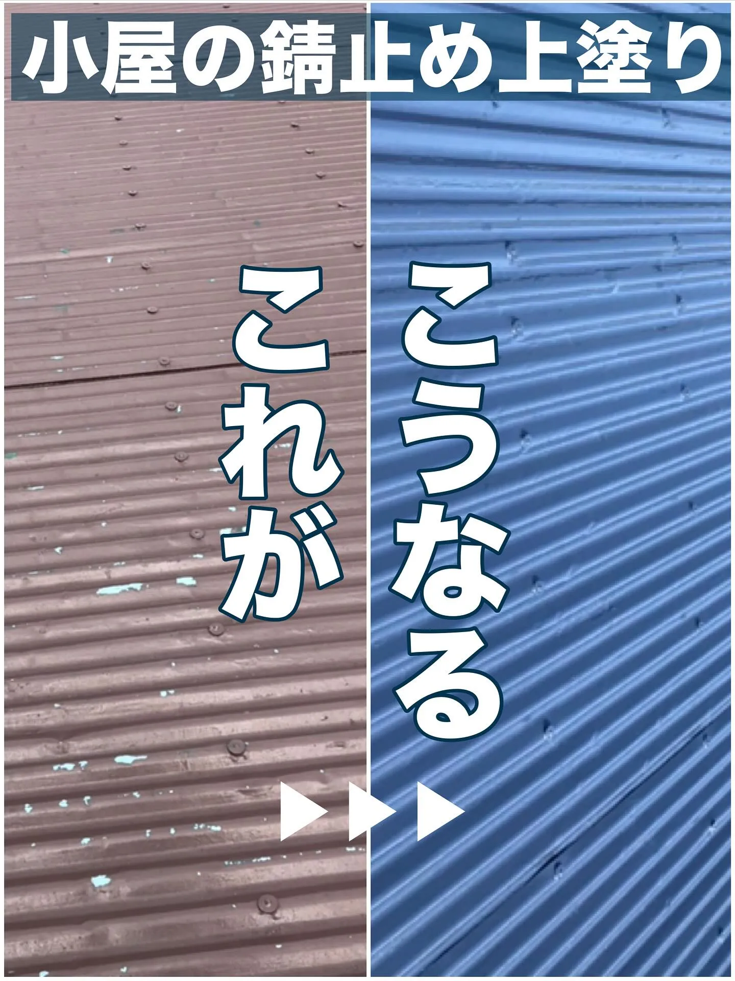 小屋の屋根の錆もお任せあれ〜〜🎃🎃