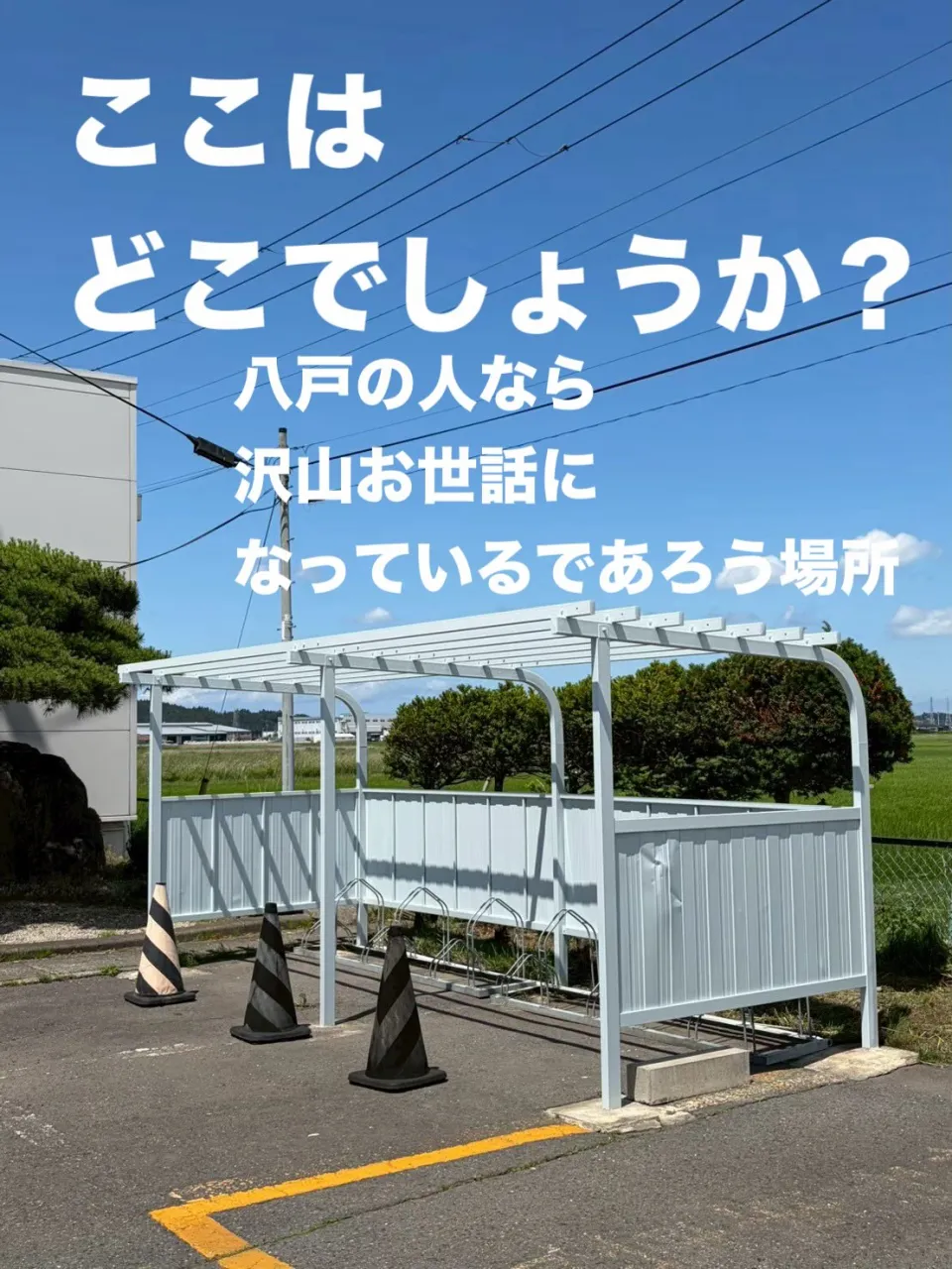 三八五オートスクール様